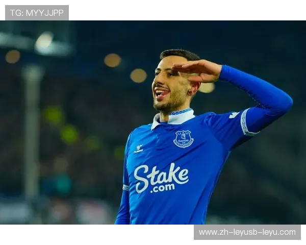 埃弗顿队英超球员名单及赛季表现综合评述