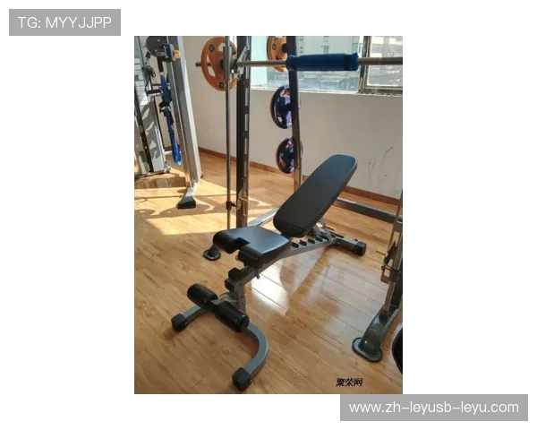 成都市场上舒华品牌健身器材的特点解析