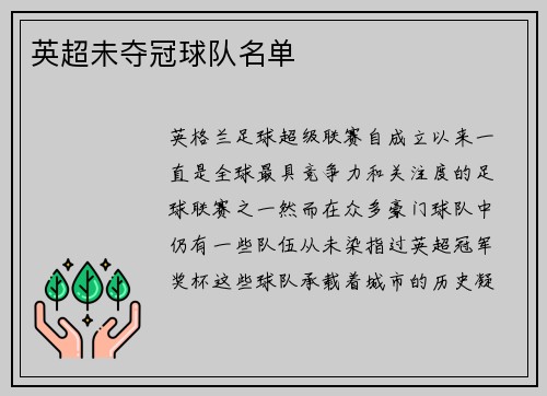 英超未夺冠球队名单